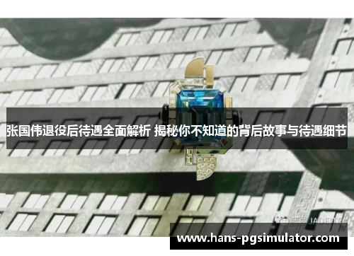 张国伟退役后待遇全面解析 揭秘你不知道的背后故事与待遇细节