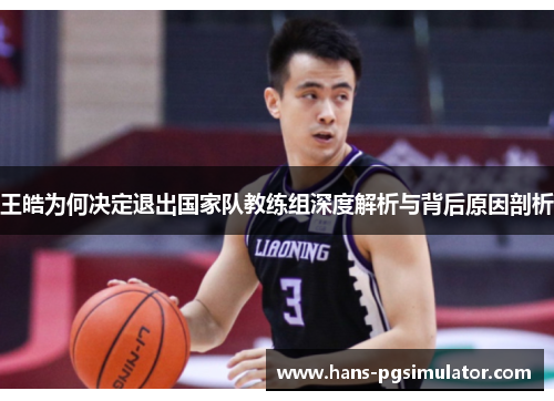 王皓为何决定退出国家队教练组深度解析与背后原因剖析