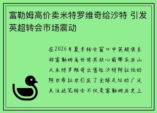 富勒姆高价卖米特罗维奇给沙特 引发英超转会市场震动 富勒姆高价卖米特罗维奇给沙特 引发英超转会市场震动