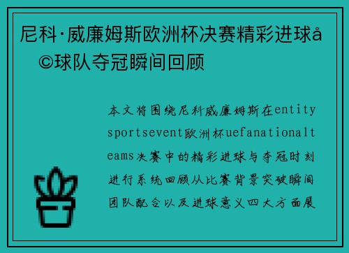 尼科·威廉姆斯欧洲杯决赛精彩进球助球队夺冠瞬间回顾